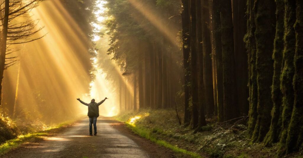 Busque orientação divina em sua oração da manhã. Imagem realista de caminho na floresta iluminado por raios de sol. Encontre esperança e direção.